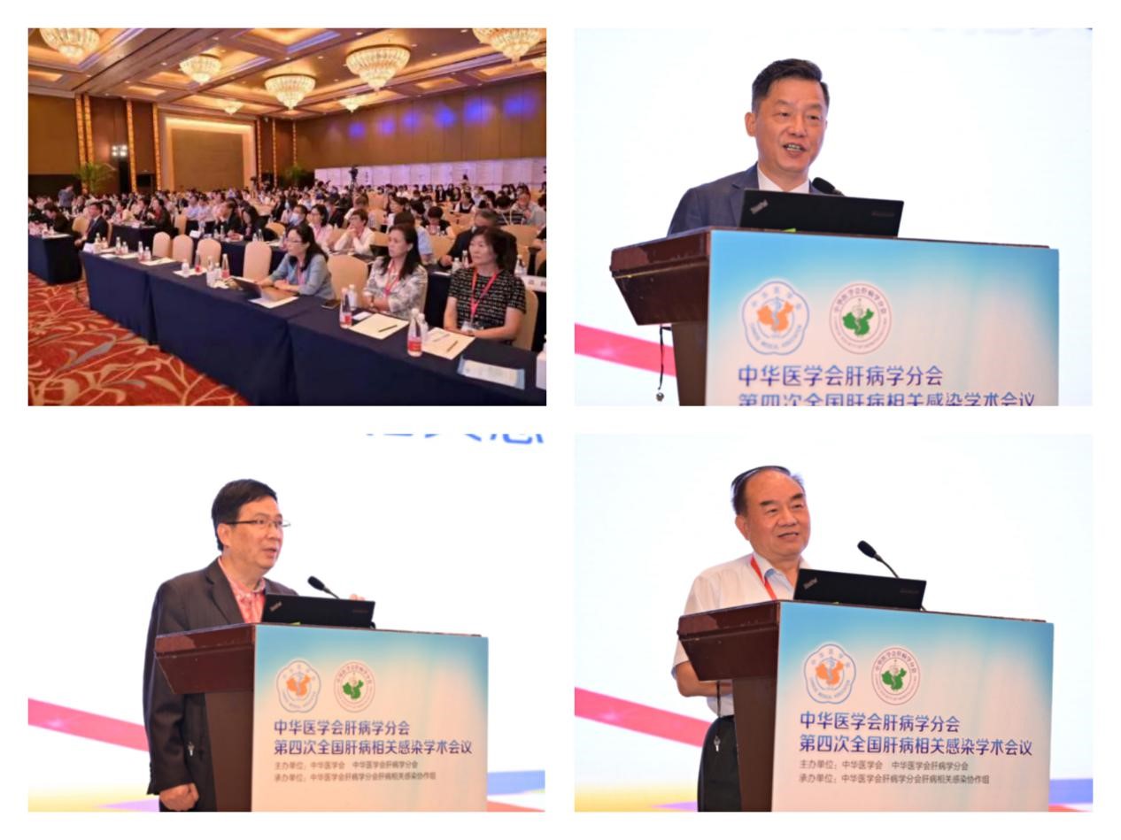 聚焦學(xué)術(shù)前沿，共迎肝病防治新征程！福瑞股份以學(xué)術(shù)助力中醫(yī)藥發(fā)展