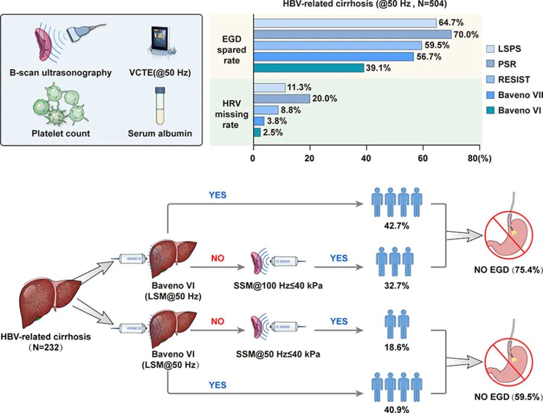 JOH丨南方醫(yī)科大學(xué)陳金軍教授團(tuán)隊(duì)：脾臟硬度測量可減少75%慢乙肝肝硬化的胃鏡篩查