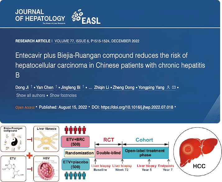 復(fù)方鱉甲軟肝片聯(lián)合抗病毒藥物治療，可顯著降低肝癌發(fā)生